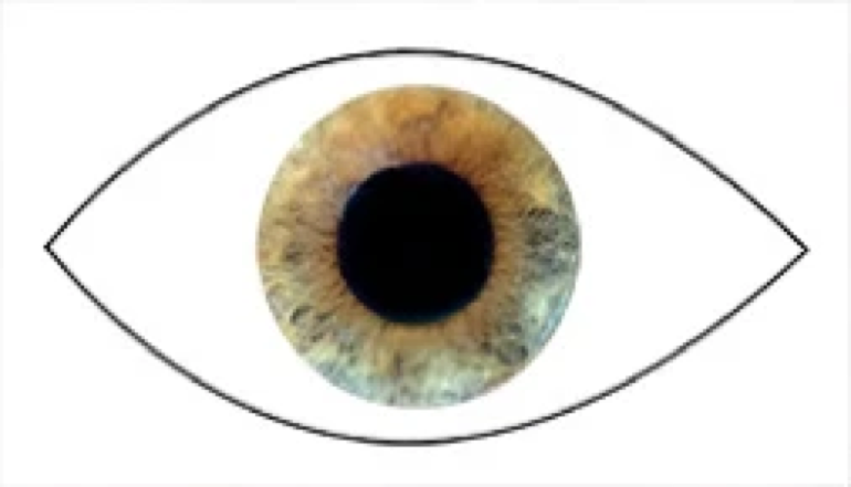 Kostenloses Stock Foto zu 4k hintergrund, antalya, arabische frau