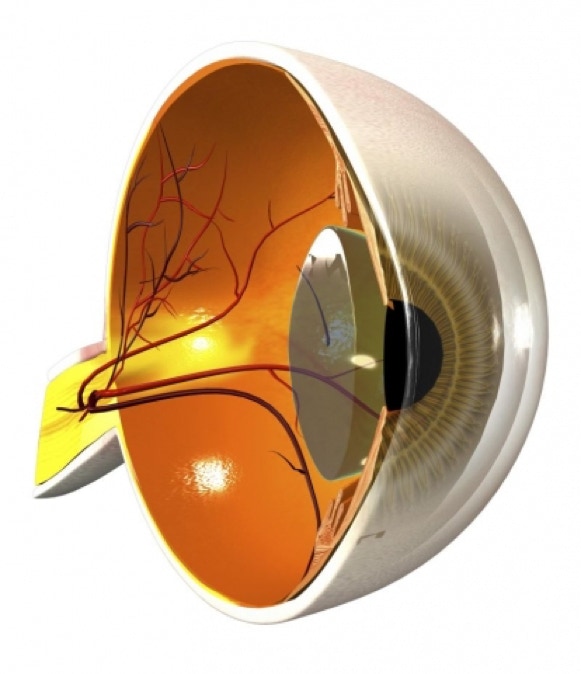 Schwarz Gerahmte Brille